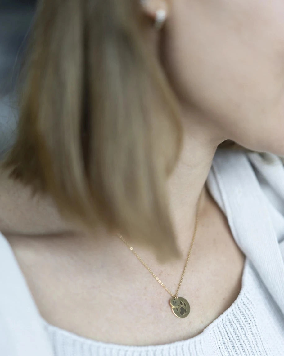 Goldene Kette mit zwei Plättchen mit Pfotenabdruck- und Buchstabengravur am Hals