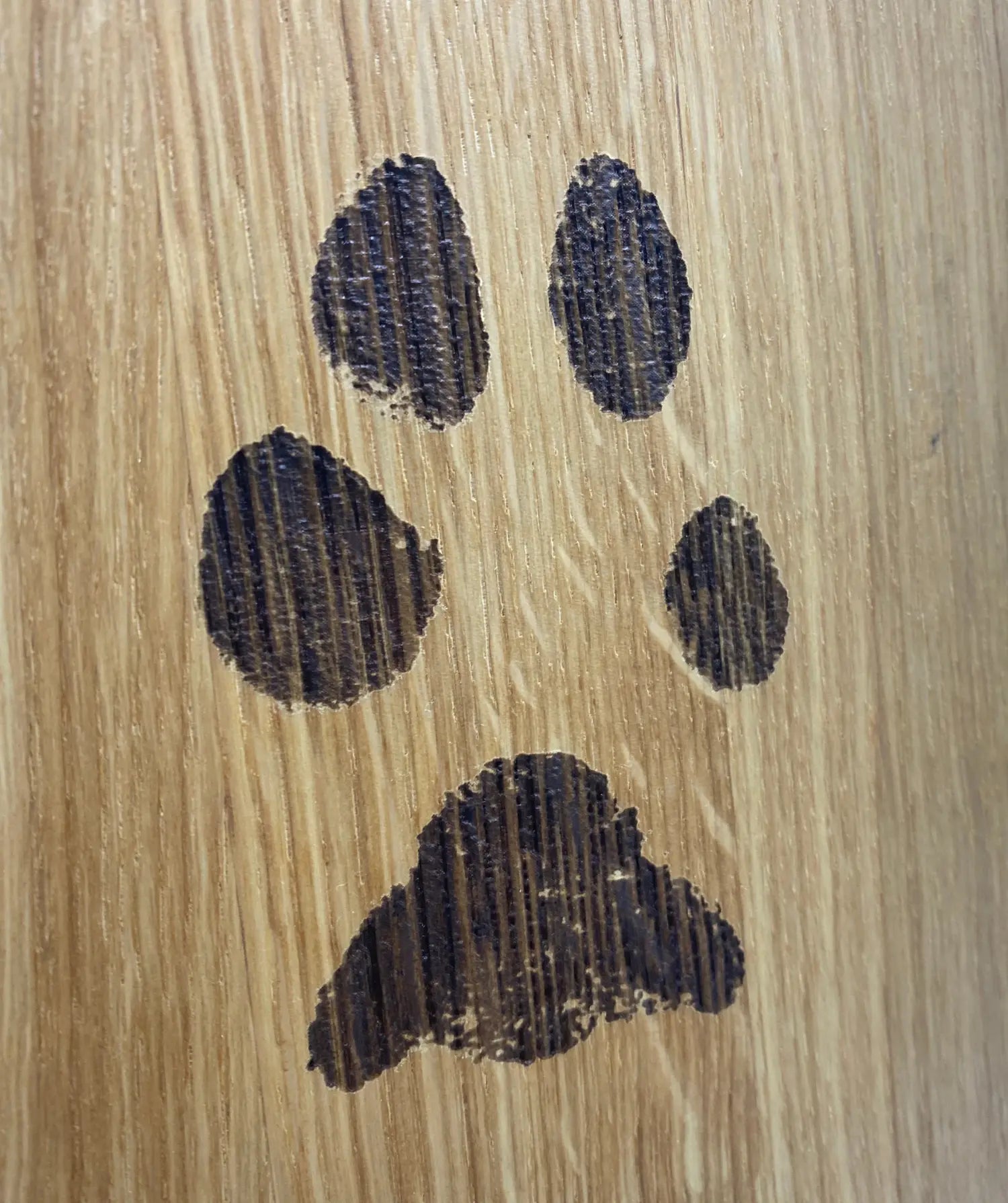 Individuelle Pfotengravur auf Holz Close-up